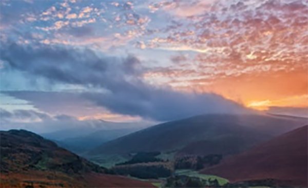 1578907258943248.png a1.png