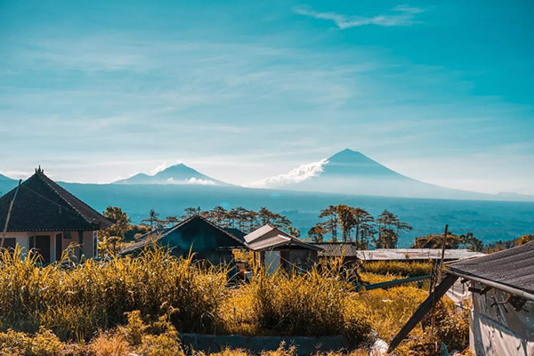 1579166825209479.jpg a5.jpg