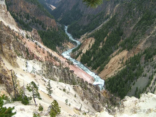 1764665098753552.png 3.webp.png