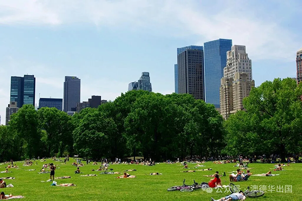 1764665103423437.png 4.webp.png