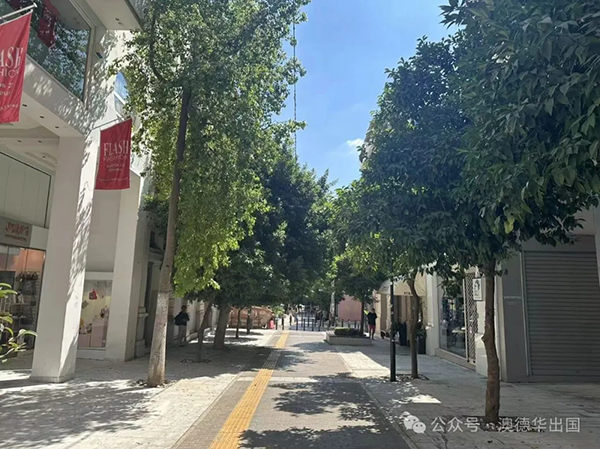 1764755862300149.png 4.webp.png