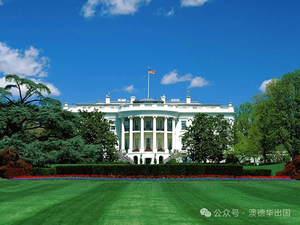 1767852704291471.png 6.webp.png