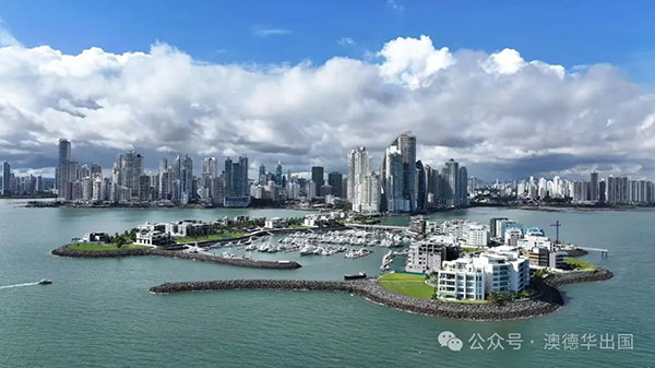 1769407479989050.png 4.webp.png