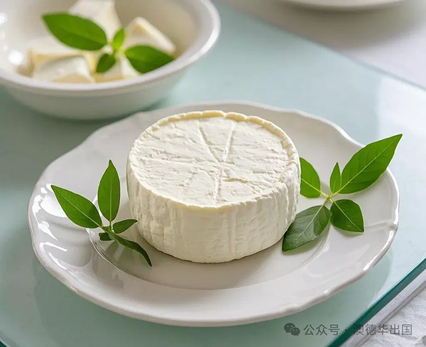 1769586460387677.png 3.webp.png