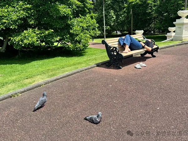 1774250417166111.png 3.webp.png