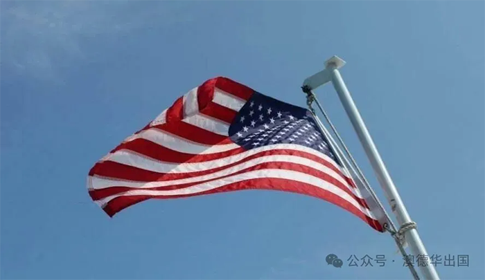 1783412401334652.png 3.png
